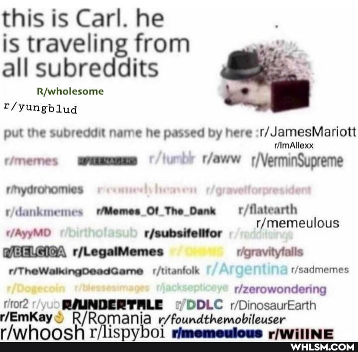 this is Carl. he is traveling from all subreddits
put the subreddit name he passed by here (/JamesMariott
rmydronomies rdankmemes The _Dank gravityfalis
:/titanfolk
DDLC
Romania