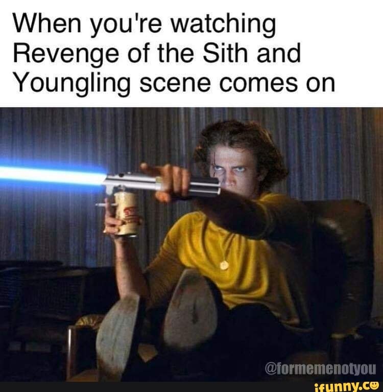 When you're watching Revenge of the Sith and Youngling scene comes on ...