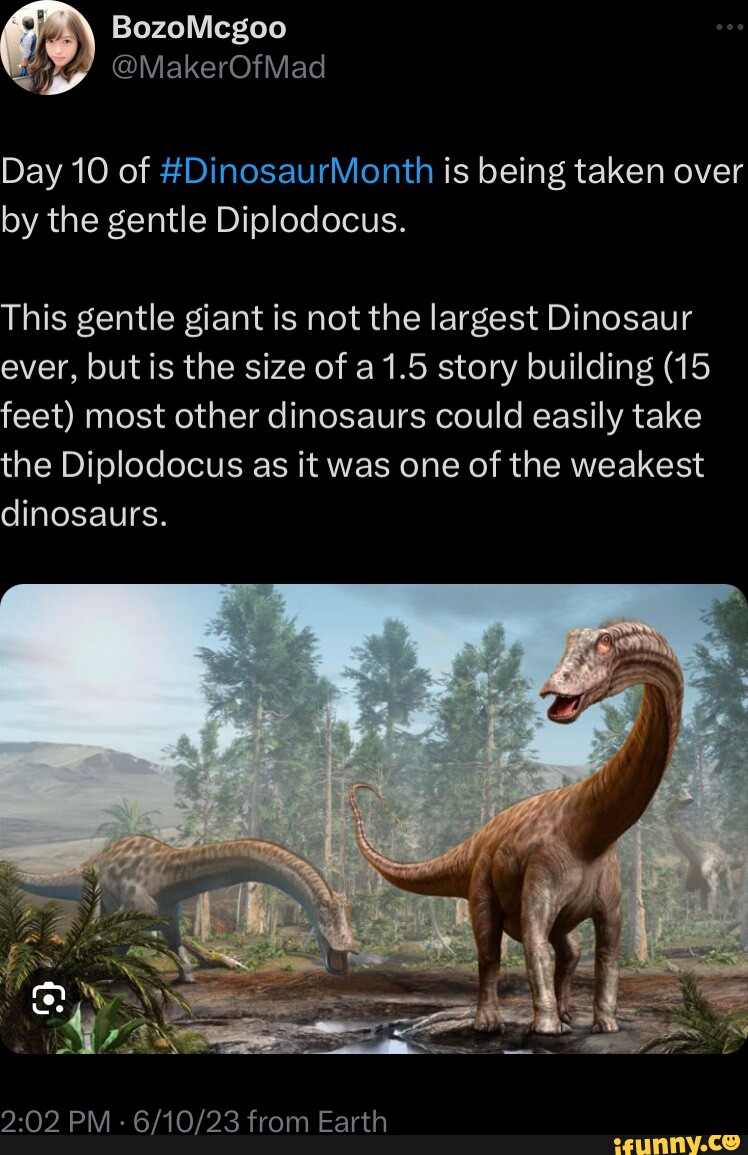 Diplodocus memes. Best Collection of funny Diplodocus pictures on iFunny