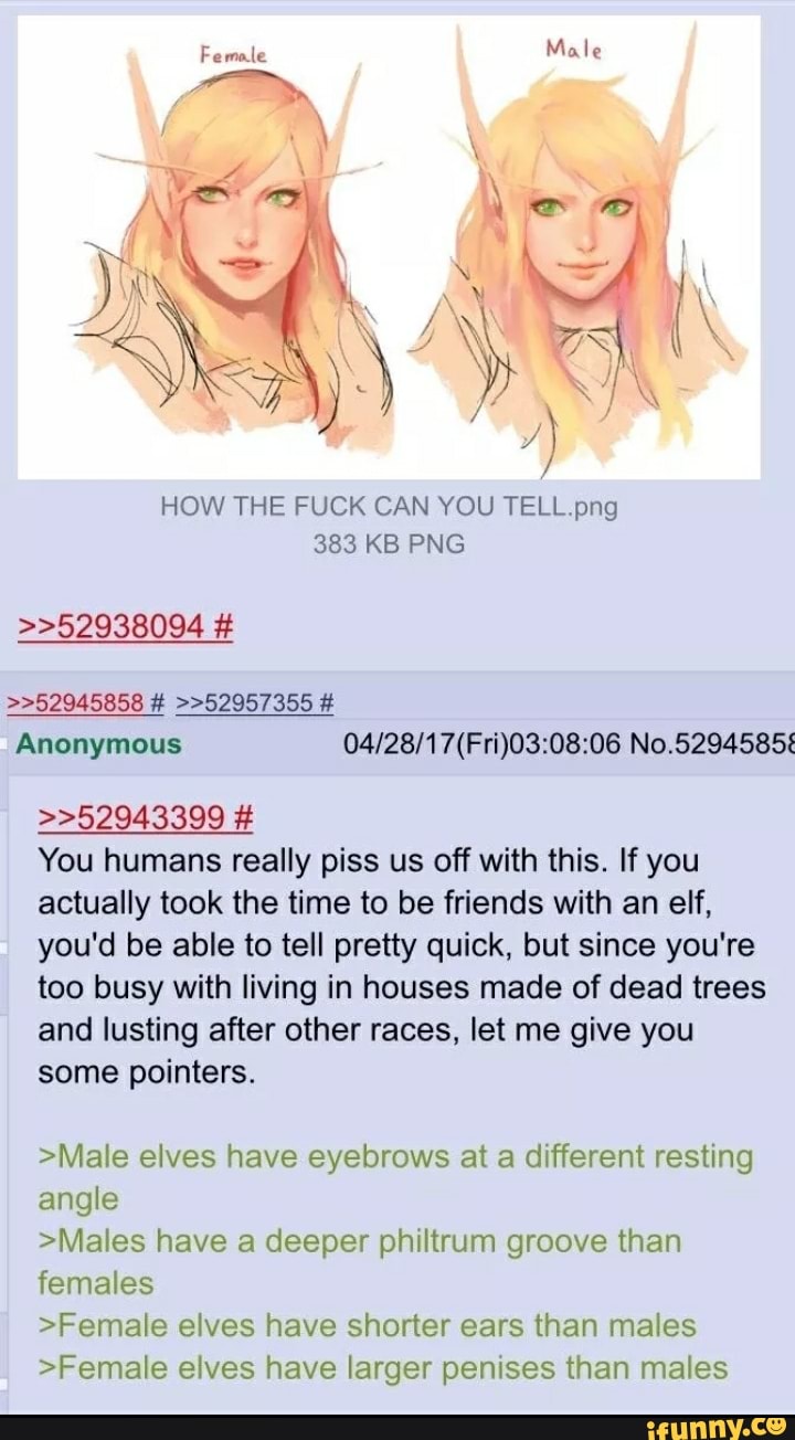 Female Male Jar' HOW THE FUCK CAN YOU TELL png 383 KB PNG >>52938094