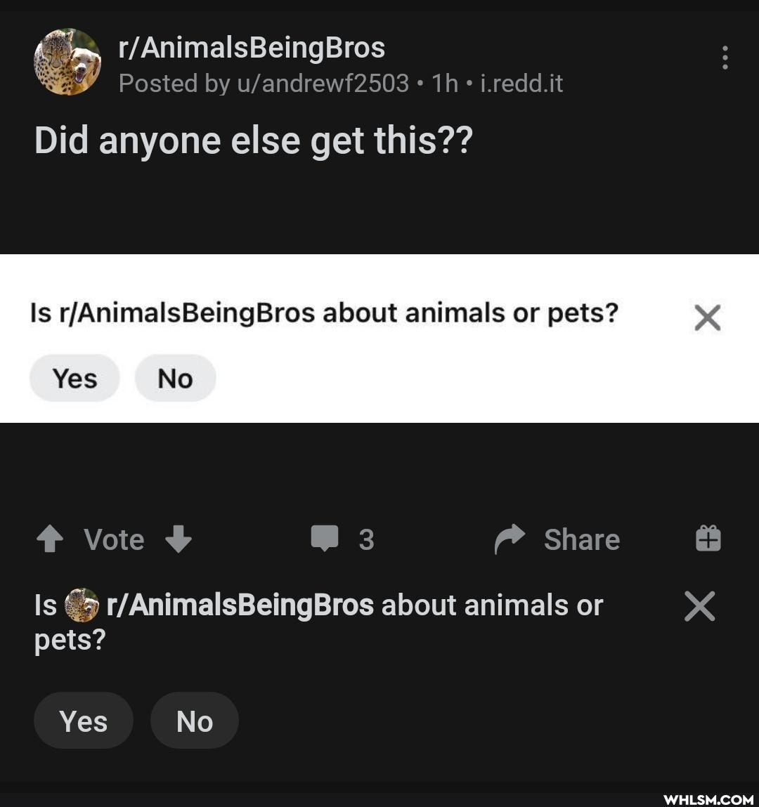 Posted by i.redd.it
Did anyone else get this??
Is FAnimalsBeineBros about animals or pets?
No
Vote 3 Share
Is about animals or
pets?
Yes No