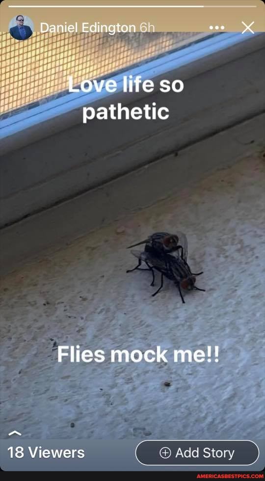 Daniel Edington
Love life so pathetic
Flies mock me!!
18 Viewers Add Story