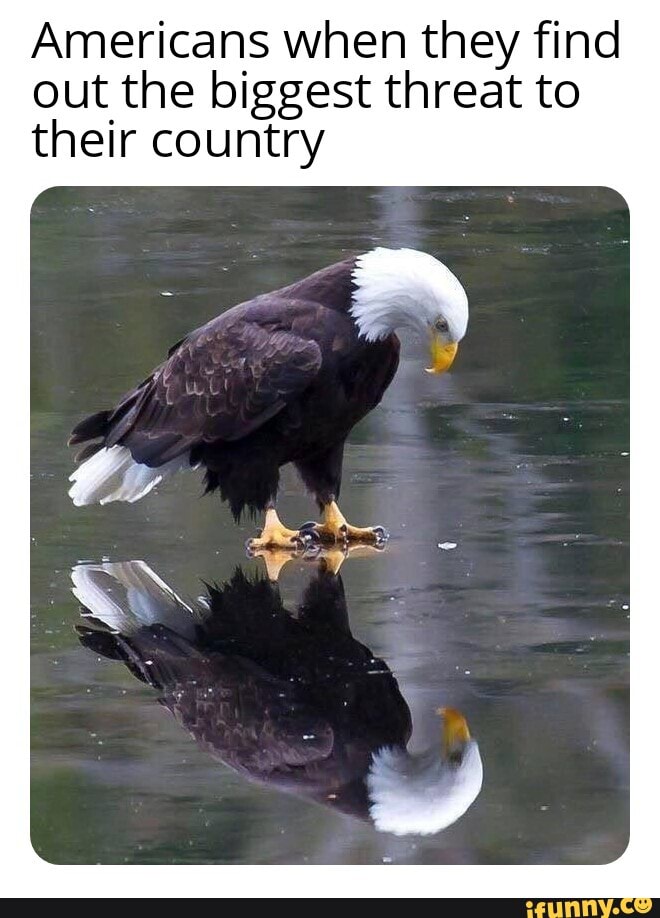 Americans when they find
out the biggest threat to
their country
