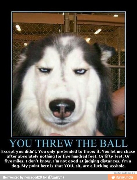 Ma
YOU THREW THE BALL
Except you didn't. You only pretended to throw it. You let me chase
after absolutely nothing for five hundred feet. Or fifty feet. Or
five miles. I don't know. I'm not good at judging distances. I'm a
dog. My point here is that YOU, sir, are a
fucking asshole.