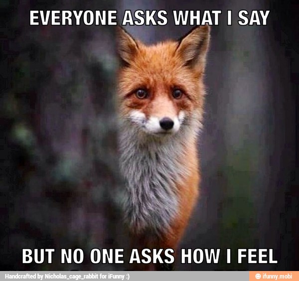 EVERYONE ASKS WHAT I SAY
BUT NO ONE ASKS HOW I FEEL