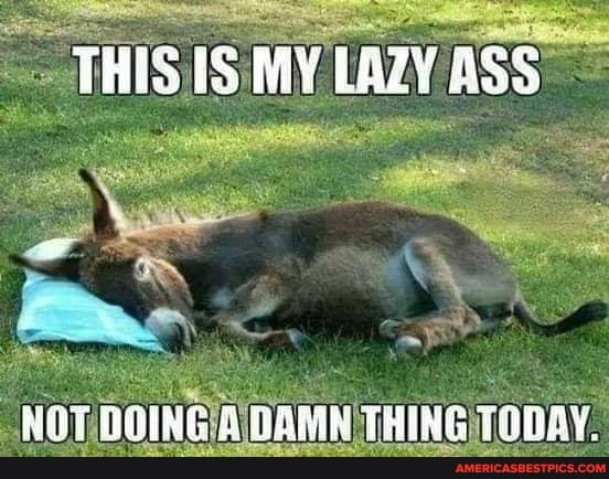 THis IS MY LAZY ASS
BOT OOING DAMN THING THDAY.
