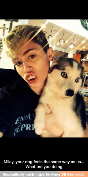 Miley, your dog feels the same way as us...
What are you doing - Miley, your dog feels the same way as us... What are you doing