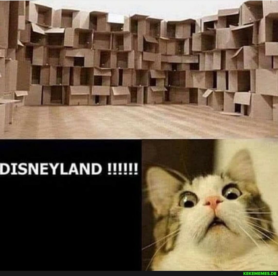 DISNEYLAND