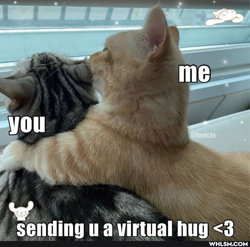 you
cannina wirtual hug <3