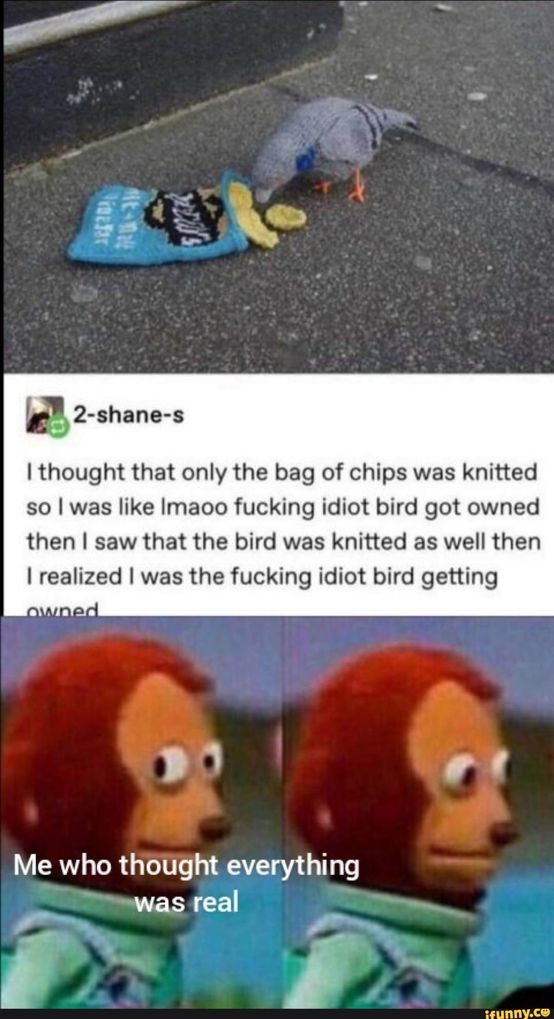 2-shane-s
I thought that only the bag of chips was knitted
so I was like Imaoo fucking idiot bird got owned then I saw that the bird was knitted as well then
I realized I was the fucking idiot bird getting
Me who thought everything was real
