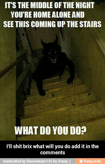 IT'S THE MIDDLE OF THE NIGHT
YOU'RE HOME ALONE AND
SEE THIS COMING UP THE STAIRS
WHAT DO YOU DO?
FI shit brix what will you do add it in the
comments - I'll shit brix what will you do add it in the comments