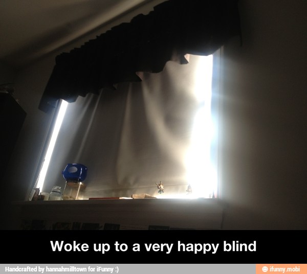 Woke up to a very happy blind - Woke up to a very happy blind