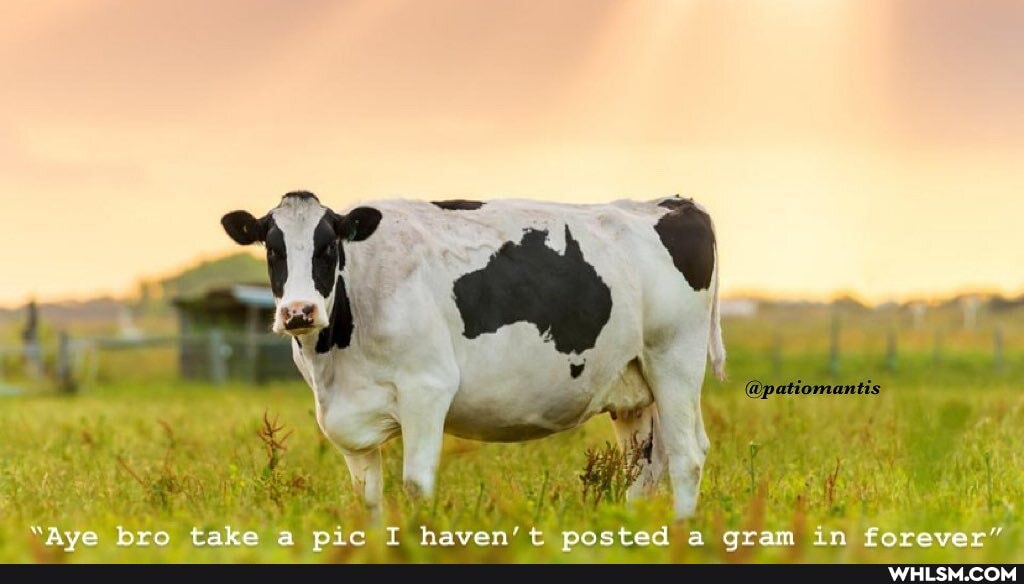 "Awo Khro take wie FT haven' t posted s Gram in forever