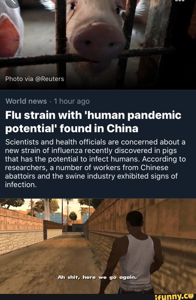 World news 1 hour ago
Flu strain with 'human pandemic
potential' found in China
Scientists and health officials are concerned about a
new strain of influenza recently discovered in pigs
that has the potential to infect humans. According to
researchers, a number of workers from Chinese
abattoirs and the swine industry exhibited signs of
infection.