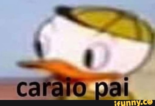 comentarios, donald
