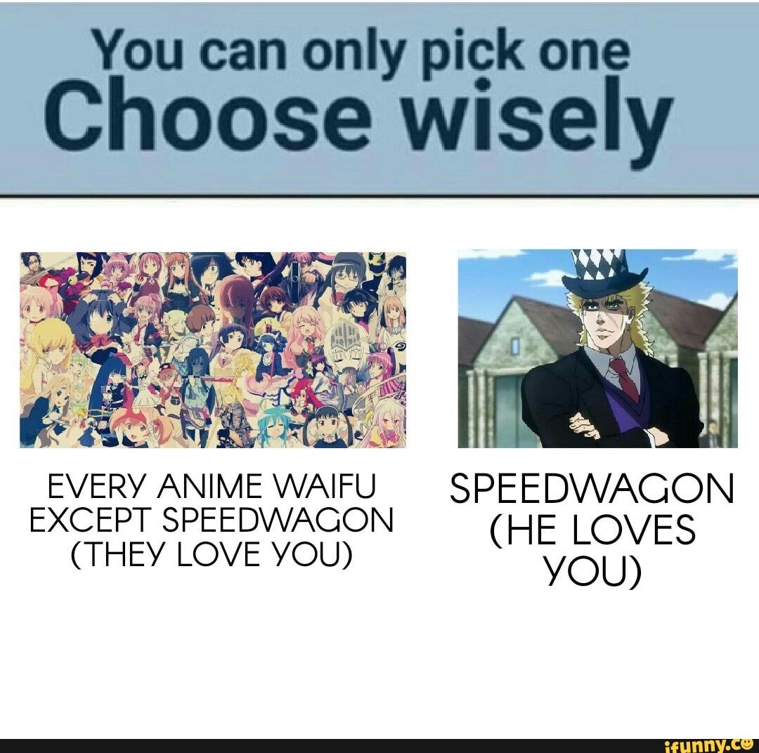You Can Only Pick One Choose Wisely Every Anime Waifu Except Speedwagon They Love You