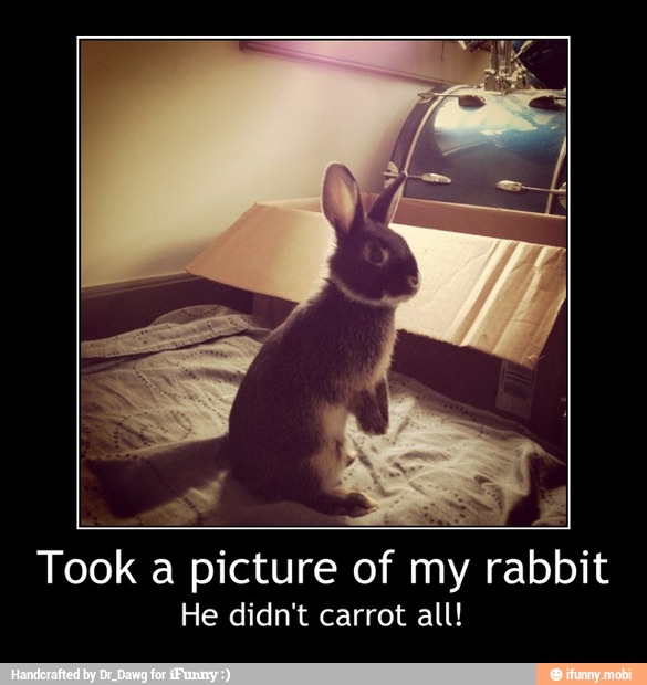 Took a picture of my rabbit
He didn't carrot all! - Took a picture of my rabbit
He didn't carrot all!