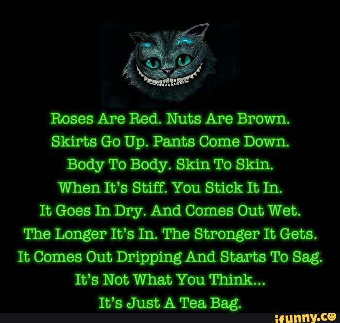 Roses Are Red. Nuts Are Brown. Skirts Go Up. Pants Come Down. Body To
