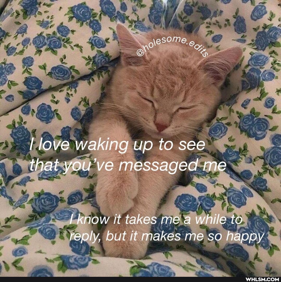yore SOMe
love waking up to see that you've messaged me
I know it takes me a while to reply, but it makes me so happy