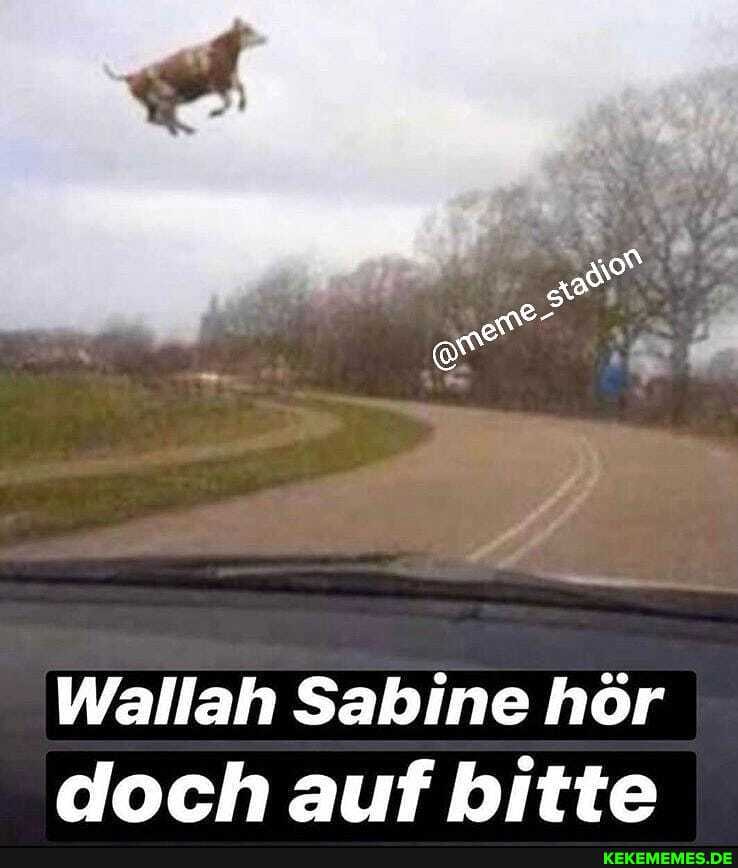 Wallah Sabine hör doch auf bitte
