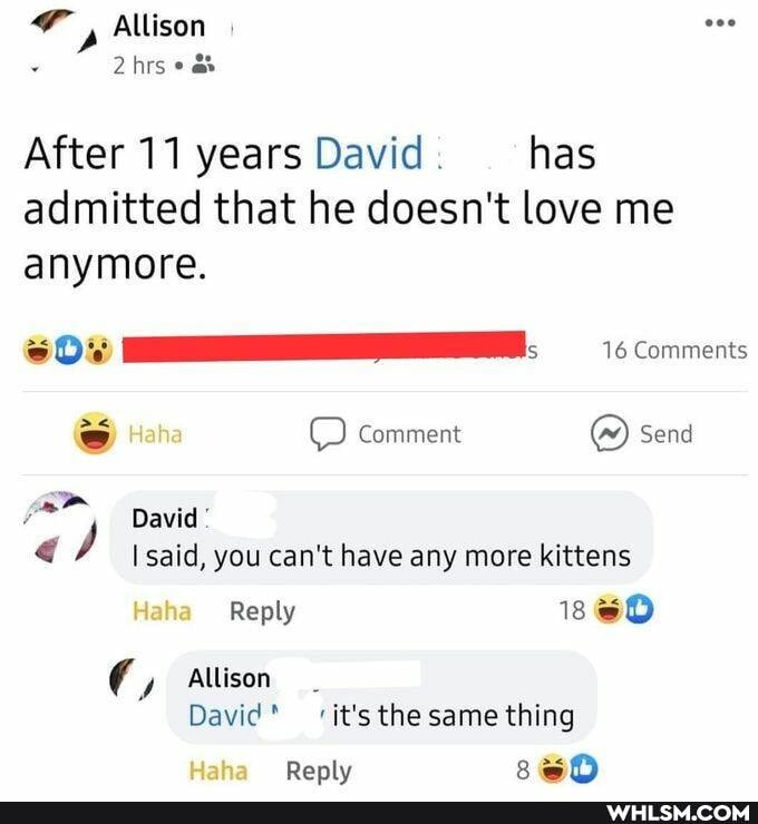 Allison
After 11 years David has admitted that he doesn't love me anymore.
16 Comments
ss Haha O Comment Send
david' said, you can't have any more kittens
Haha Reply
Allison
David it's the same thing
Haha Reply