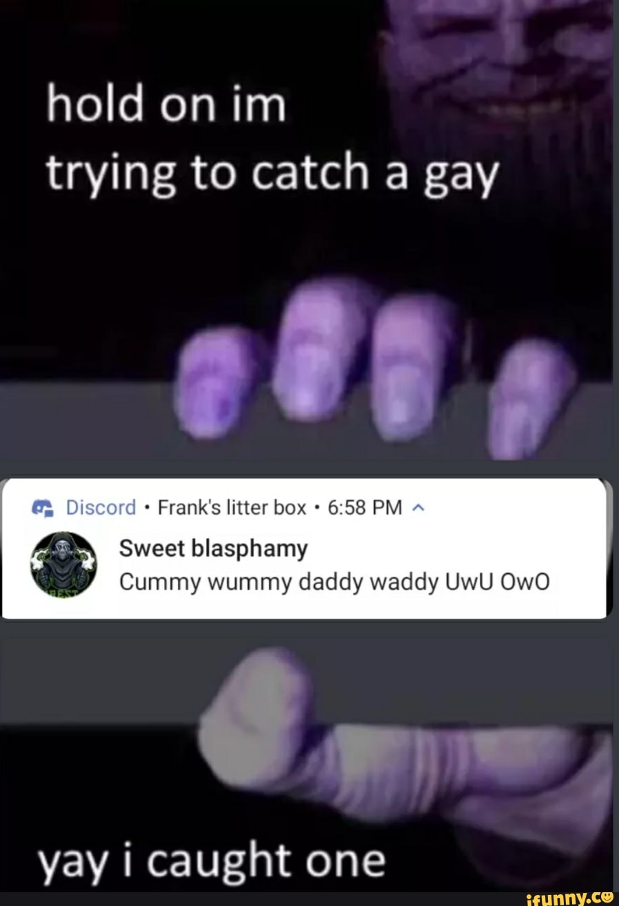 Hold On Im Trying To Catch A Gay Ge Discord Frank S Litter Box 58 Pm Sweet Blasphemy Cummy Wummy Daddy Waddy Uwu Owo Gr Yay I Caught One Ifunny