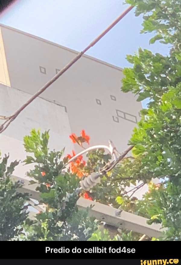 Predio do cellbit fod4se