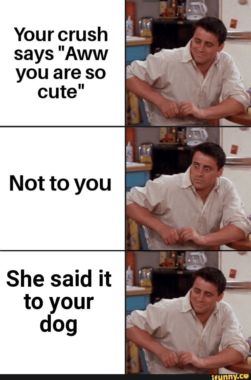 Your crush
says "AWW
you are so cute"
Not to you
She said it to your dog