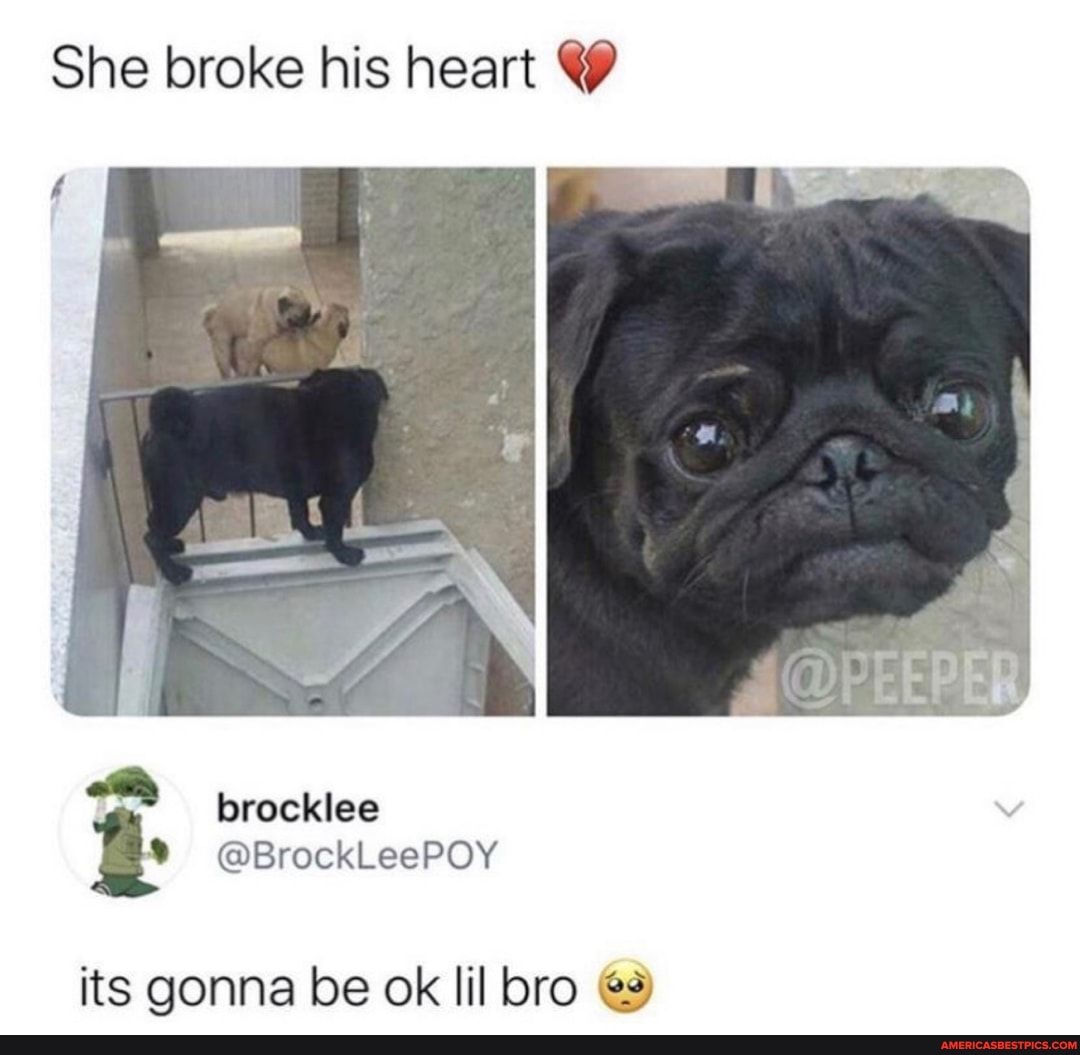 She broke his heart Y
its gonna be ok lil bro €s)