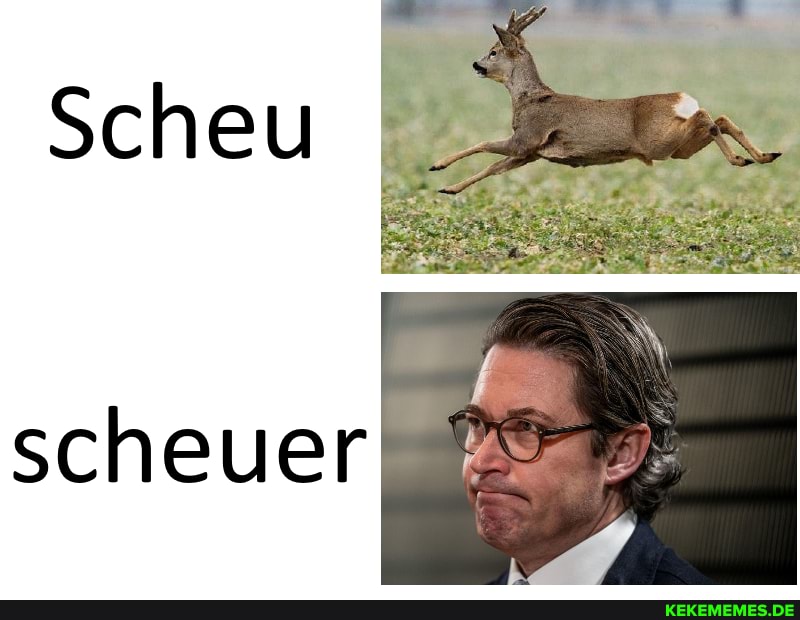 Scheu
scheuer