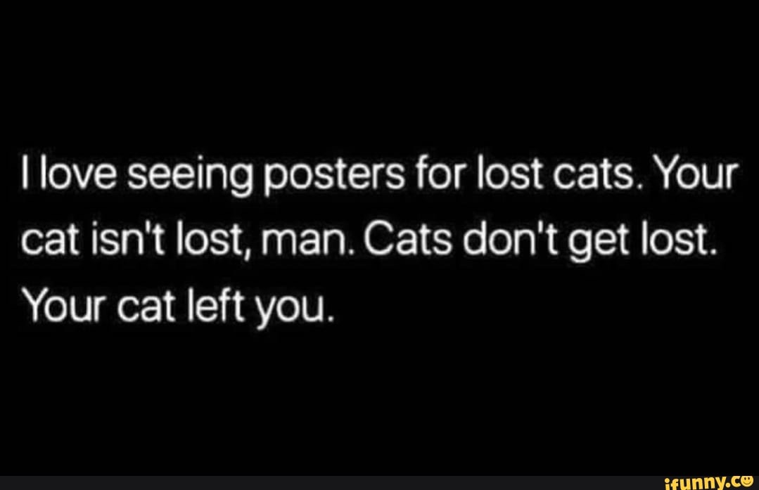 I love seeing posters for lost cats. Your cat isn't lost, man. Cats don