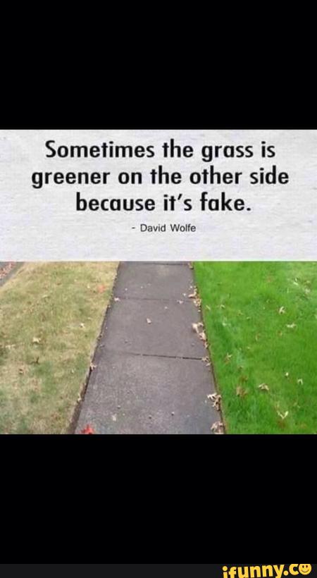 Sometimes The Grass Is Greener On The Other Side Because It S Fake