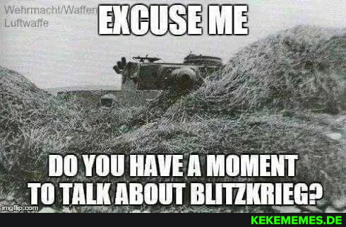EXGUSE ME YOU HAVE MOMENT TALK ABOUT BLITZKRIEG?