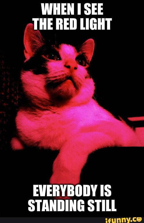 The_red_light memes. Best Collection of funny The_red_light pictures on iFunny