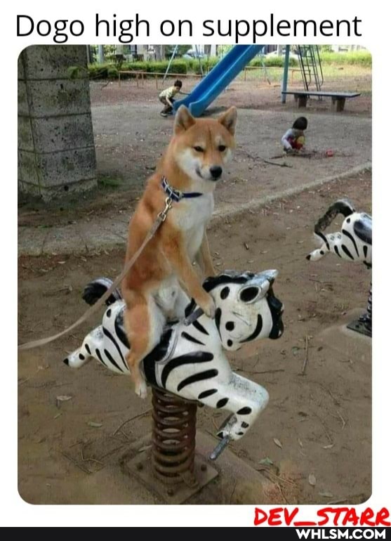 Dogo high on supplement