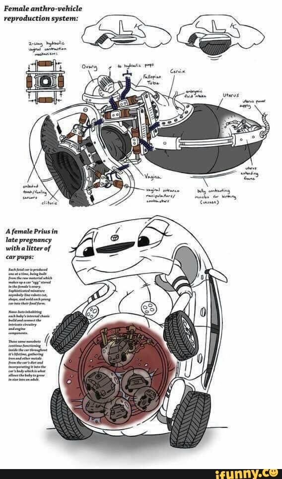 Female anthro-vehicle
reproduction system:
A female Prius in late pregnancy with alitter of car pups: