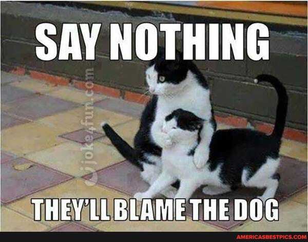SAY NOTHING
THEY LLELAME THE DOG