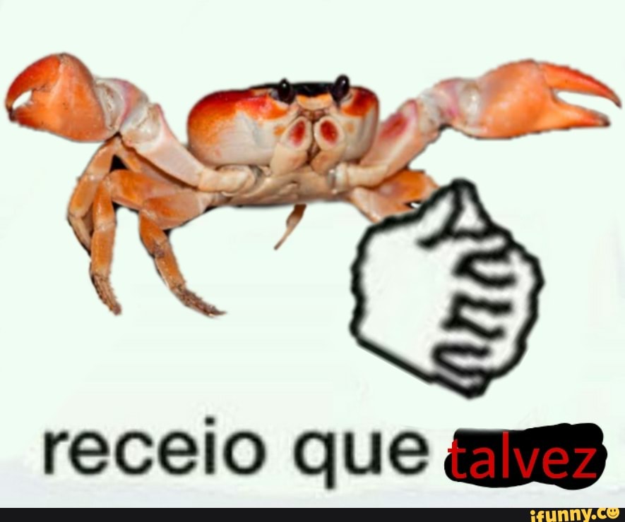 talvez, shitpostbr