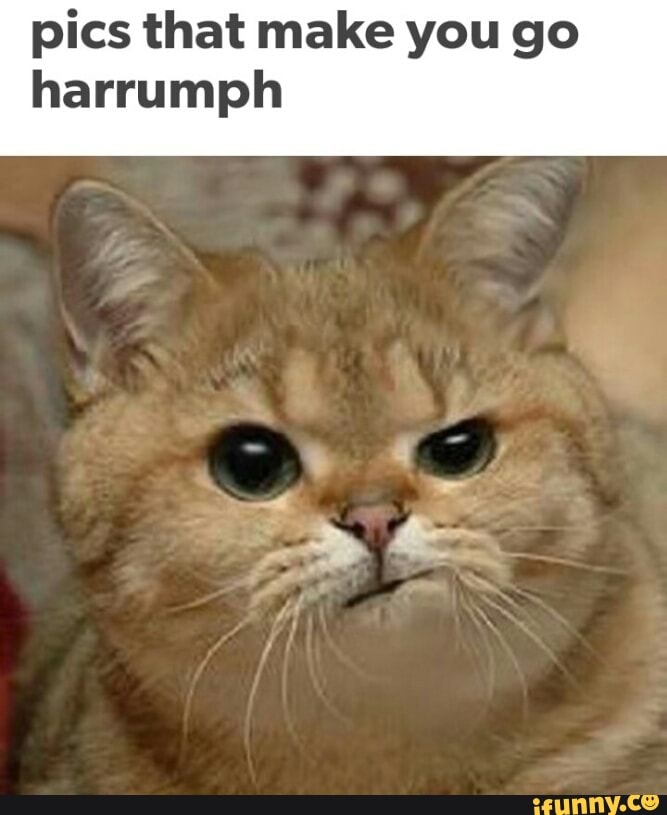 Harumph memes. Best Collection of funny Harumph pictures on iFunny