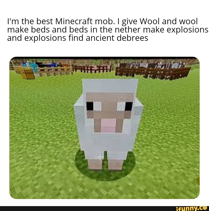 I'm the best Minecraft mob. I give Wool and wool make beds and beds in ...