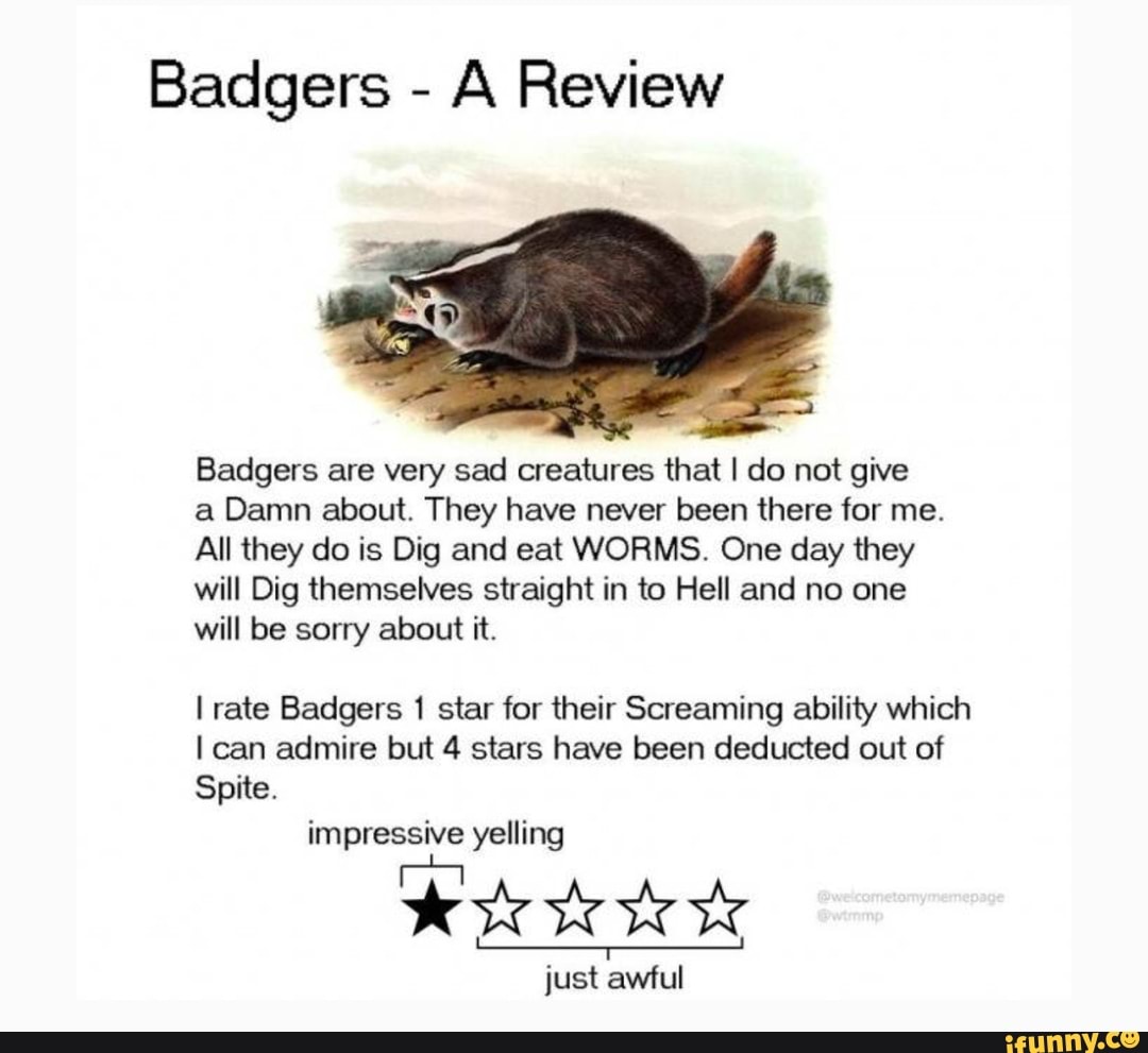 Badgers A Review Badgers are very sad creatures that I do not give a