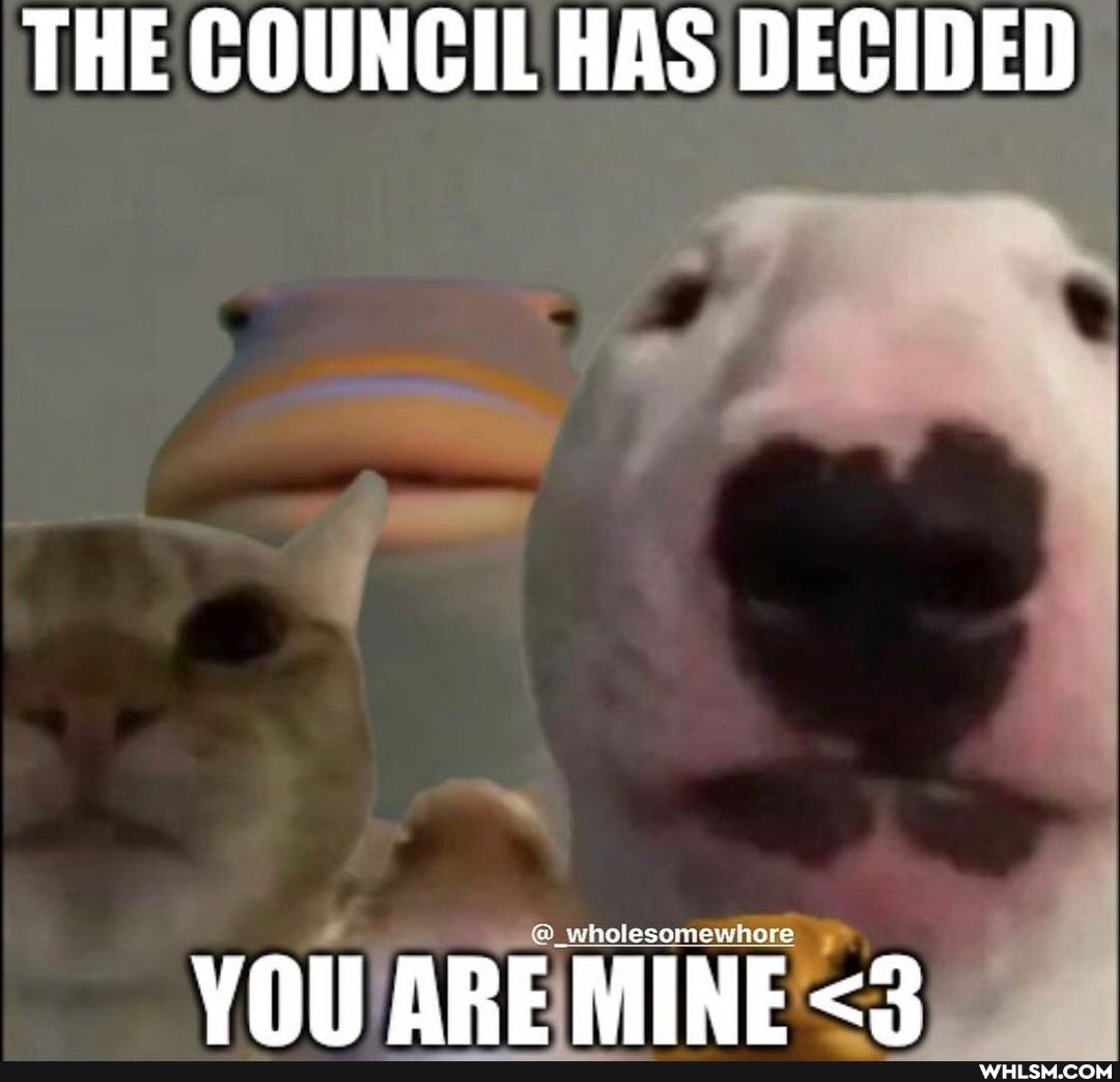 THE COUNCIL HAS DECIDED
ge