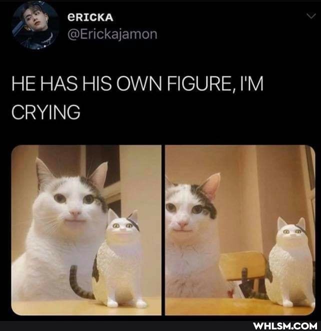 HE HAS HIS OWN FIGURE, I'M CRYING