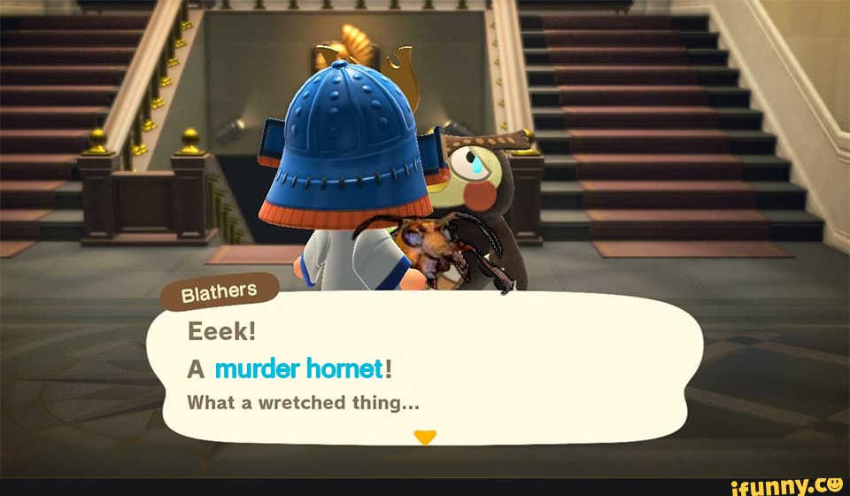 Blathers
Eeek!
A murder hornet!
What a wretched thing...