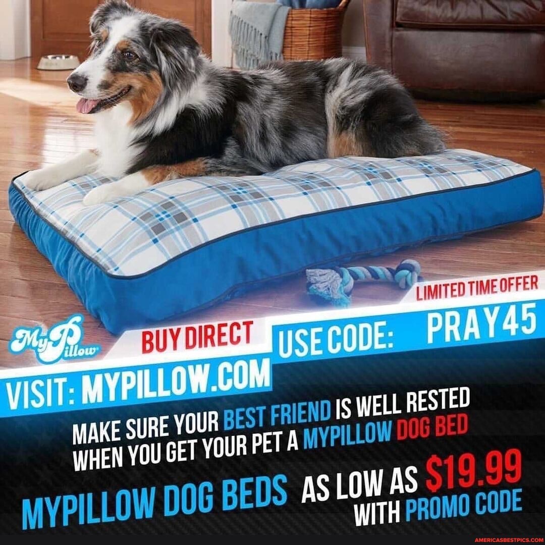 my pillow dog bed promo code