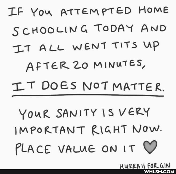 LF You aTTEMPTED Home
SCHOOLING TODAY AND
LT ALL WENT TITS UP AFTER ZO MINUTES,
LT DOES NOT MATTER.
YouR SANITY \S VERY IMPORTANT KIGAT Now.
PLACE vALUE on IT