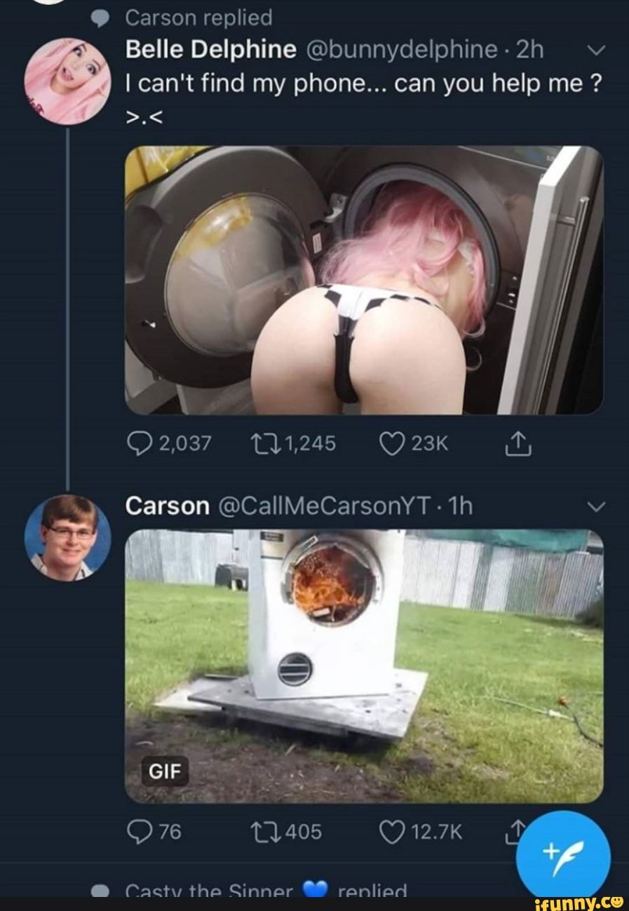 Belle delphine dryer