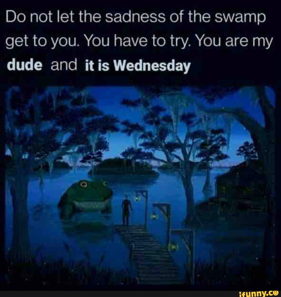 Do Not Let The Sadness Of The Swamp Get To You You Have To Try You Are My Dude And Ft Is