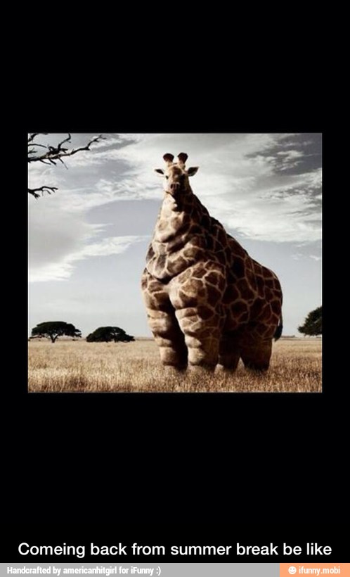 Comeing back from summer break be like - Comeing back from summer break be like