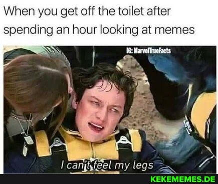 When you get off the toilet after spending an hour looking at memes